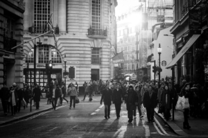 Read more about the article We have launched our website!